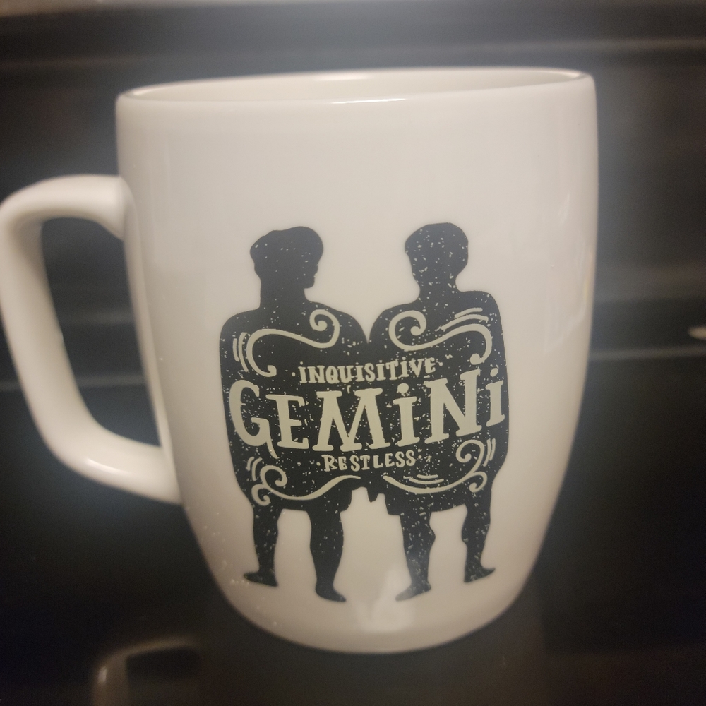 Gemini mug